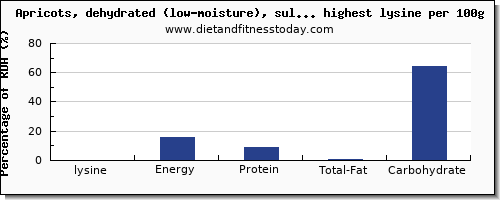 lysine and nutrition facts in dried fruit per 100g